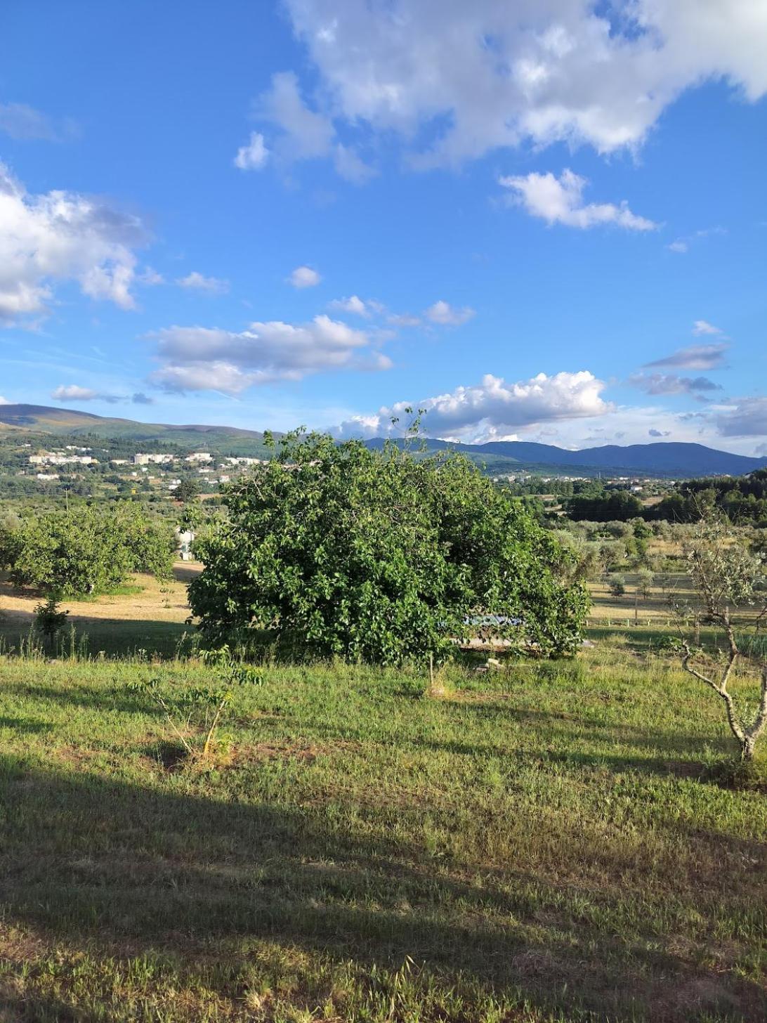 Arpuro Villa Gouveia  Exterior photo